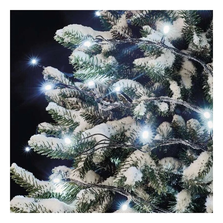 Catena LED natalizia da esterno 50xLED/5m IP44 bianco freddo