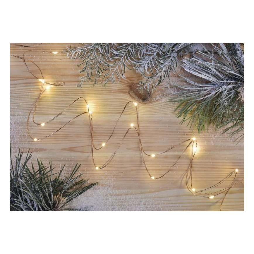 Catena luminosa a LED 20xLED/2,4m bianco caldo