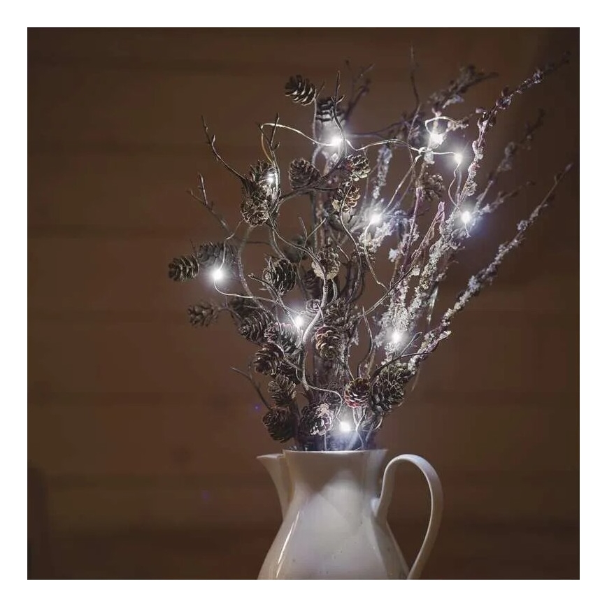 Catena luminosa a LED 20xLED/2xAA 2,4m bianco freddo