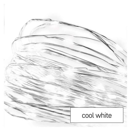 Catena luminosa a LED 20xLED/2xAA 2,4m bianco freddo