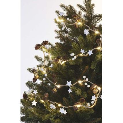 Catena luminosa con 20 LED, alimentazione 2x AA, lunghezza 2 m