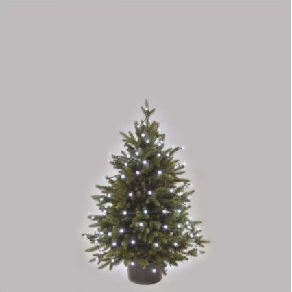 Catena luminosa LED per esterni 80xLED/13m IP44, bianco freddo
