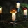 Catena luminosa TOADSTOOL 12xE10 10,7m luce calda, Prodotto nella Repubblica Ceca