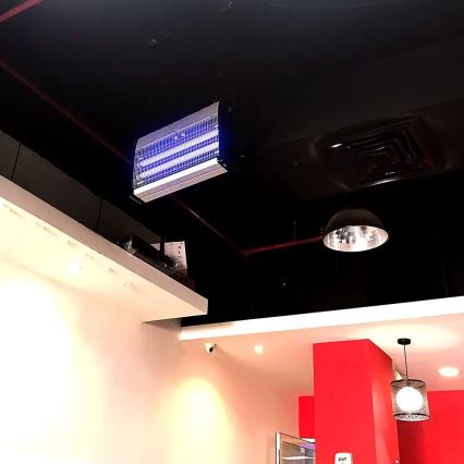 Cattura insetti elettrico 2x10W/230V 80 m²