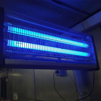 Cattura insetti elettronico 2x15W/230V 100m2