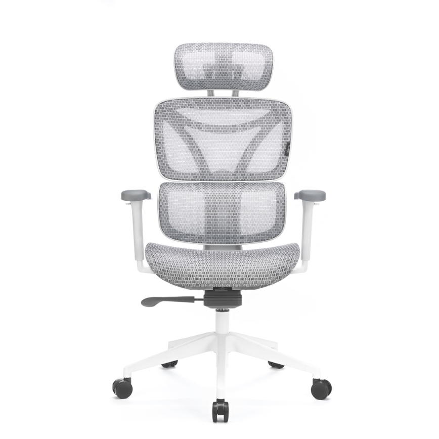 Chaise de bureau ergonomique LEVANO gris/blanc/noir