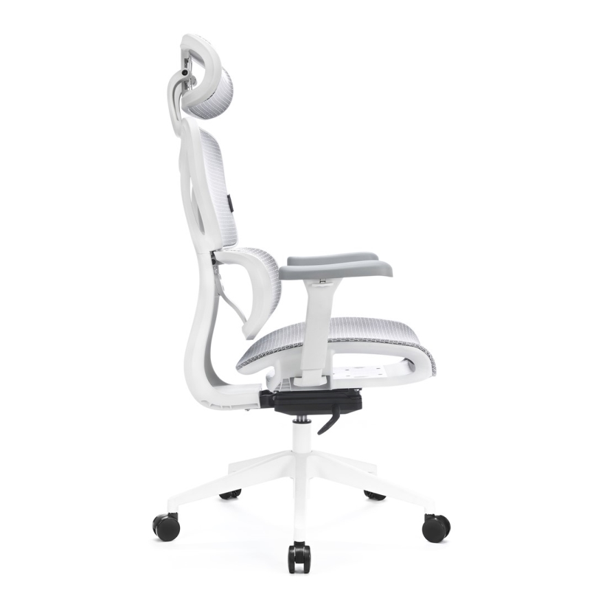 Chaise de bureau ergonomique LEVANO gris/blanc/noir