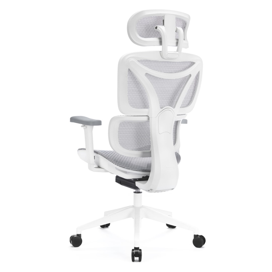 Chaise de bureau ergonomique LEVANO gris/blanc/noir
