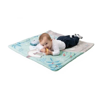 Chicco - Spieldecke für Kinder 2-in-1 Eule
