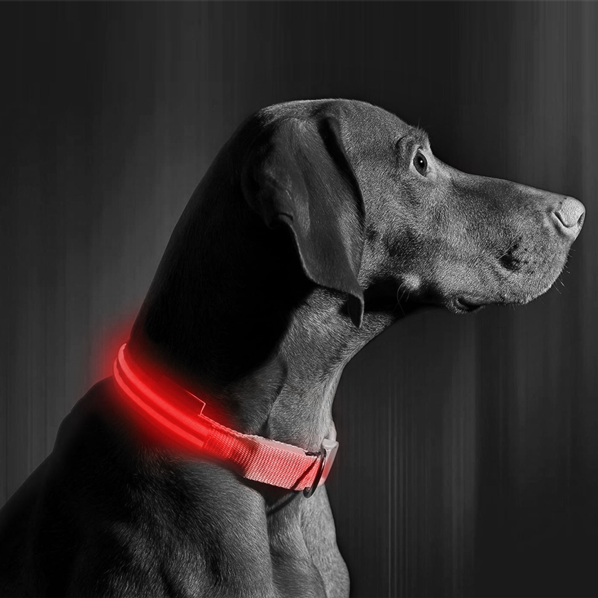 Collare per cani ricaricabile LED 35-43 cm 1xCR2032/5V/40 mAh rosso
