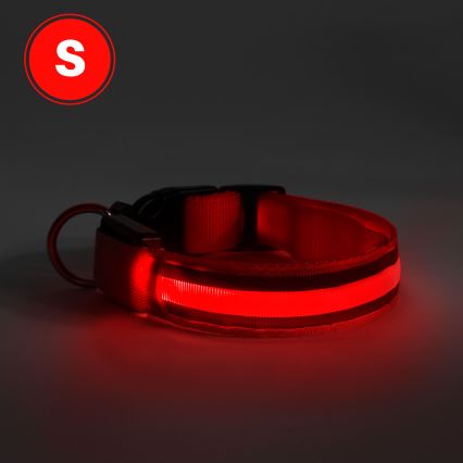 Collare per cani ricaricabile LED 35-43 cm 1xCR2032/5V/40 mAh rosso