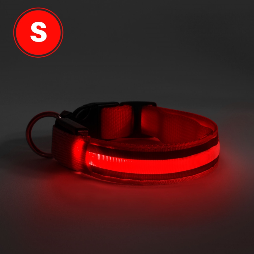 Collare per cani ricaricabile LED 35-43 cm 1xCR2032/5V/40 mAh rosso