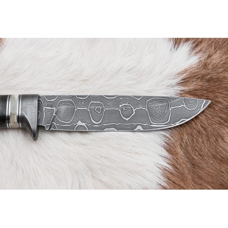 Coltello da caccia in damasco 13,8 cm Betulla/osso di cammello