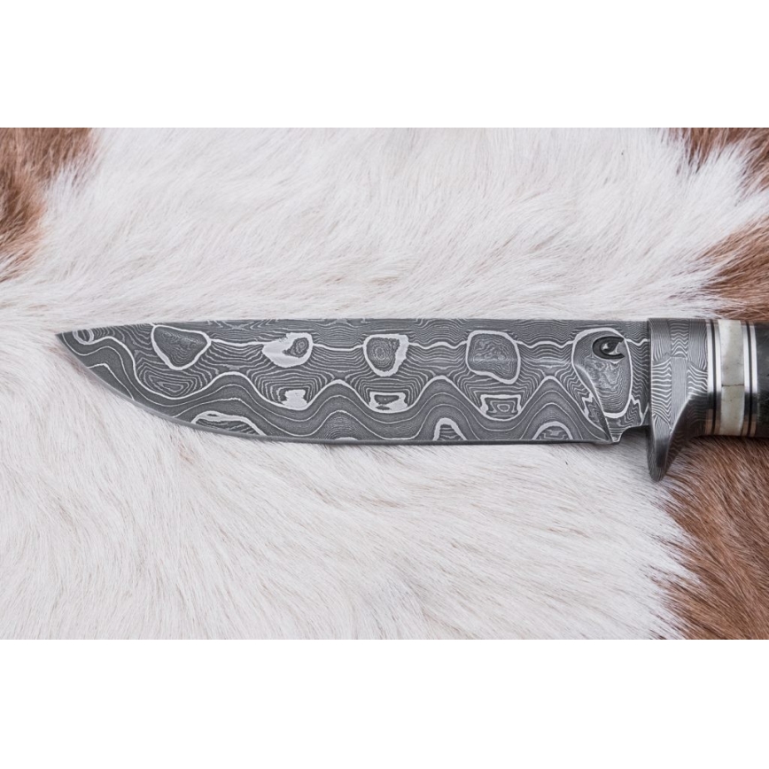 Coltello da caccia in damasco 13,8 cm Betulla/osso di cammello
