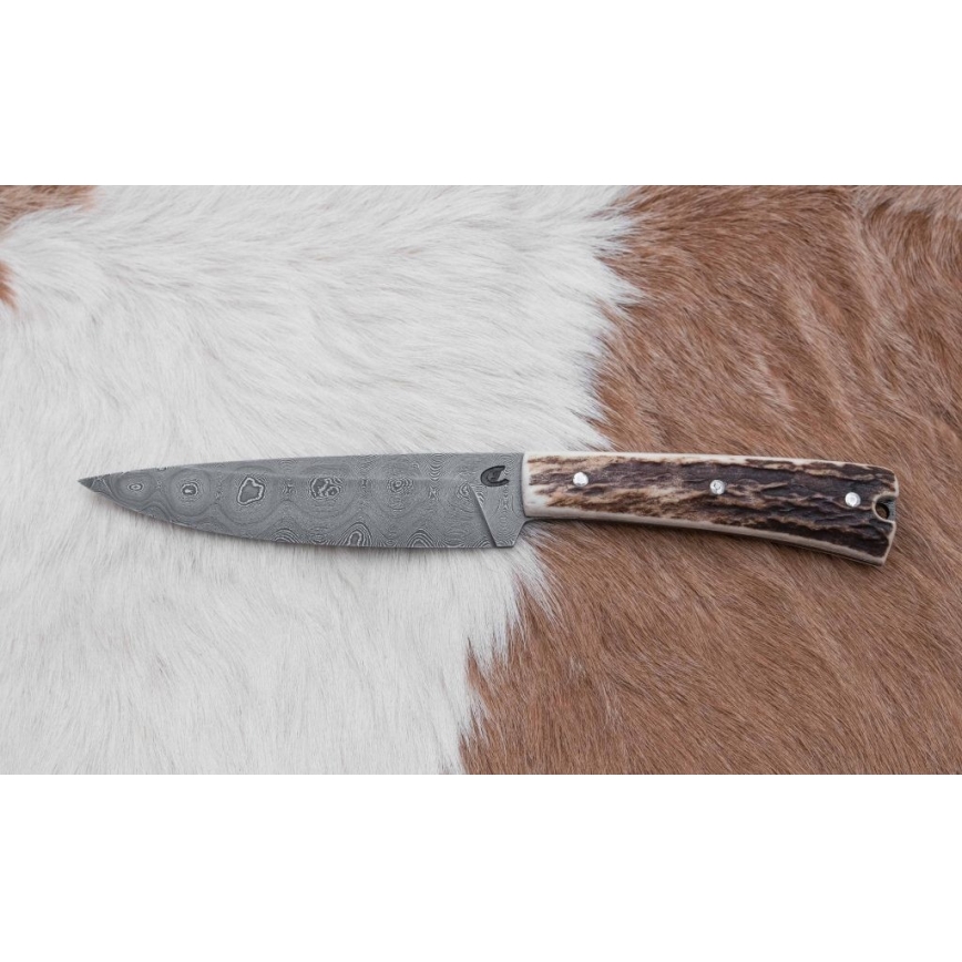 Coltello da caccia in damasco con mini sega 12 cm corno di cervo
