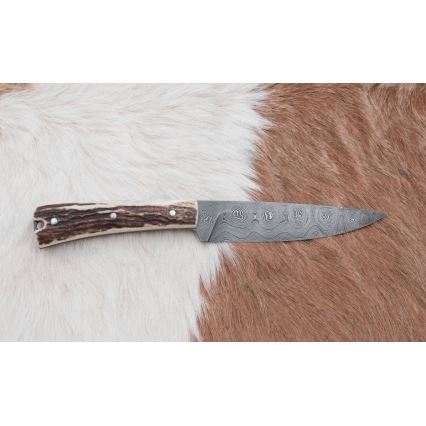 Coltello da caccia in damasco con mini sega 12 cm corno di cervo