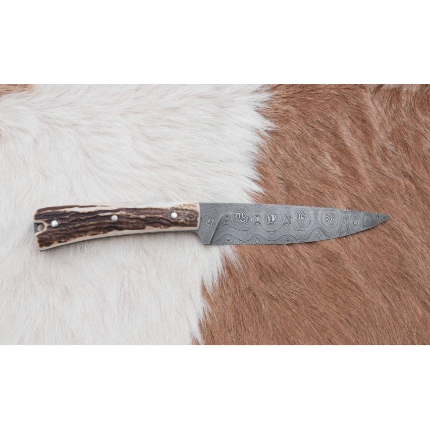 Coltello da caccia in damasco con mini sega 12 cm corno di cervo
