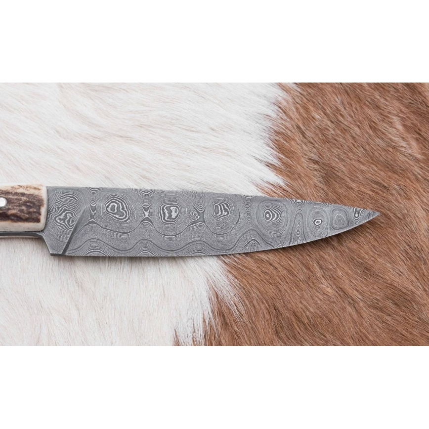 Coltello da caccia in damasco con mini sega 12 cm corno di cervo