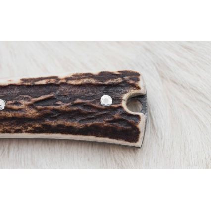 Coltello da caccia in damasco con mini sega 12 cm corno di cervo