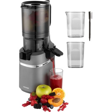 Concept LO7120 - Extracteur de jus JUICY 250W/230V gris