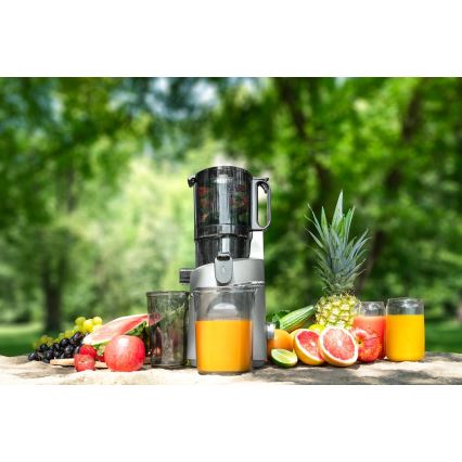 Concept LO7120 - Extracteur de jus JUICY 250W/230V gris