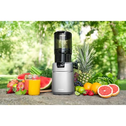 Concept LO7120 - Extracteur de jus JUICY 250W/230V gris