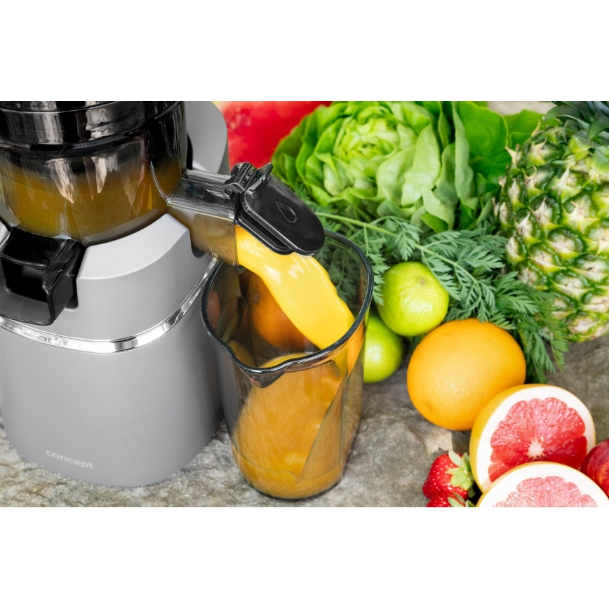 Concept LO7120 - Extracteur de jus JUICY 250W/230V gris