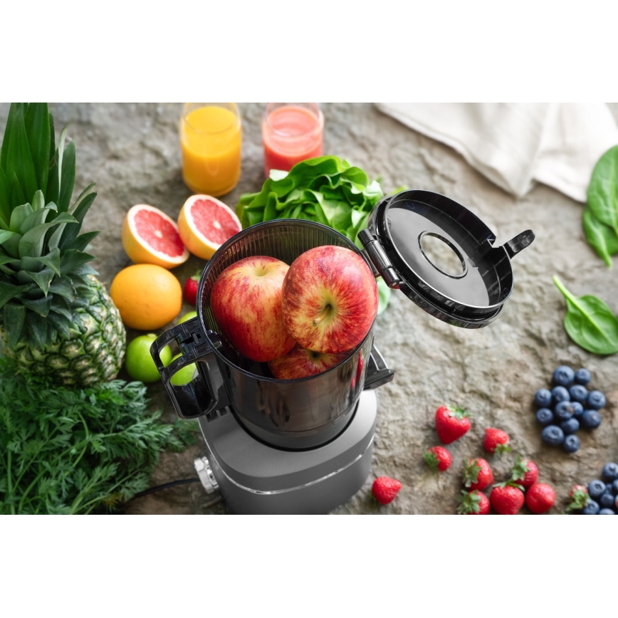 Concept LO7120 - Extracteur de jus JUICY 250W/230V gris