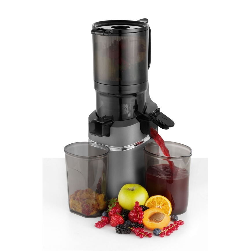 Concept LO7120 - Extracteur de jus JUICY 250W/230V gris