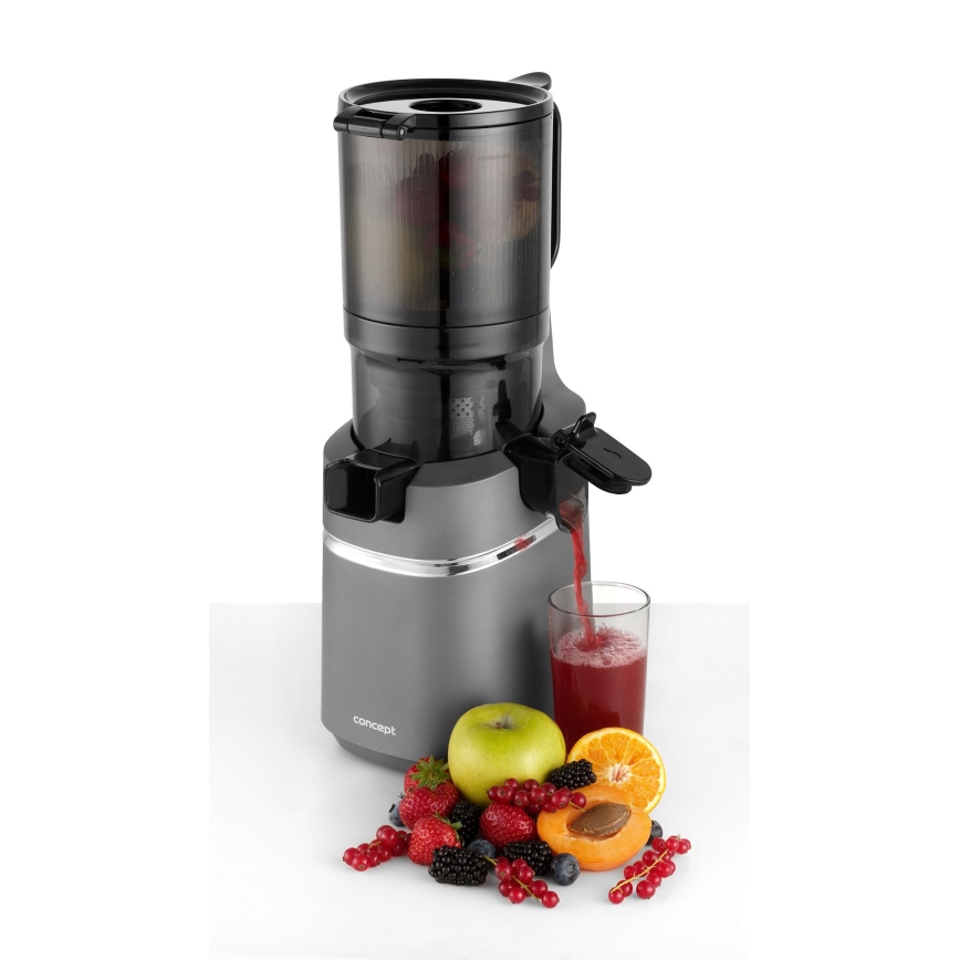Concept LO7120 - Extracteur de jus JUICY 250W/230V gris
