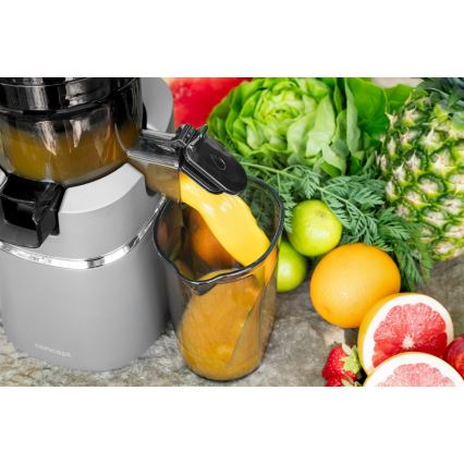 Concept LO7120 - Slow Juicer JUICY 250W/230V grau