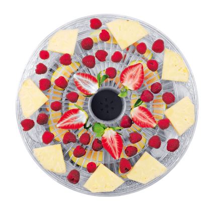 Concept SO2020 - Essiccatore per alimenti 500W/230V bianco