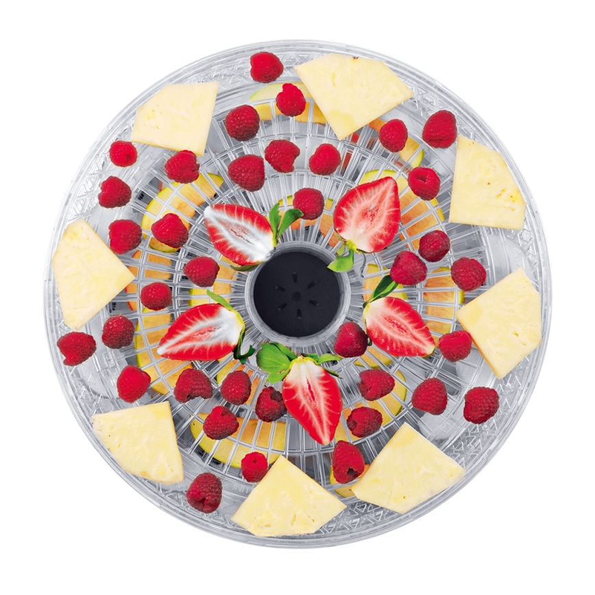 Concept SO2020 - Essiccatore per alimenti 500W/230V bianco