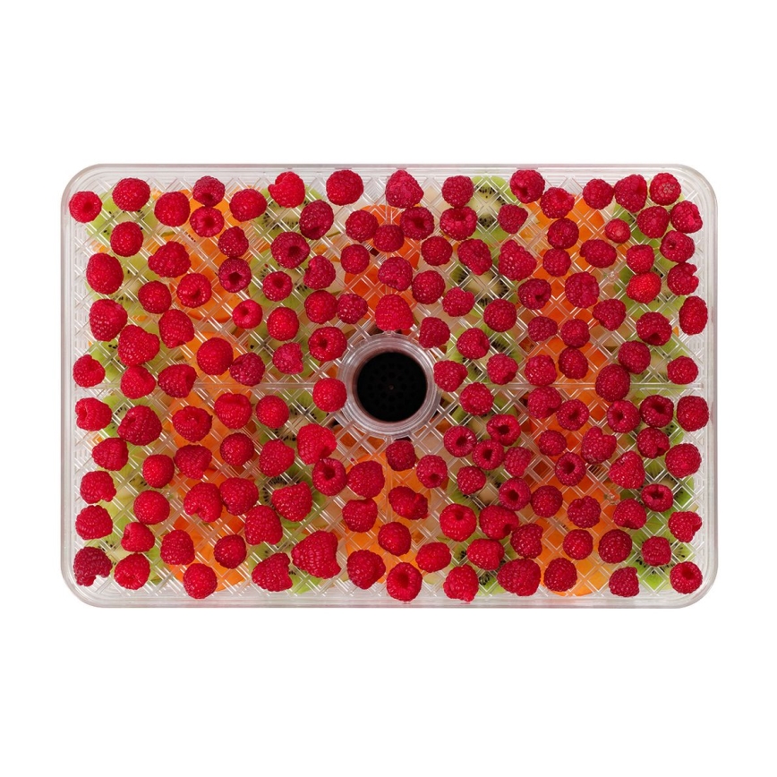 Concept SO2042 - Essiccatore per alimenti 500W/230V nero + stampo in silicone