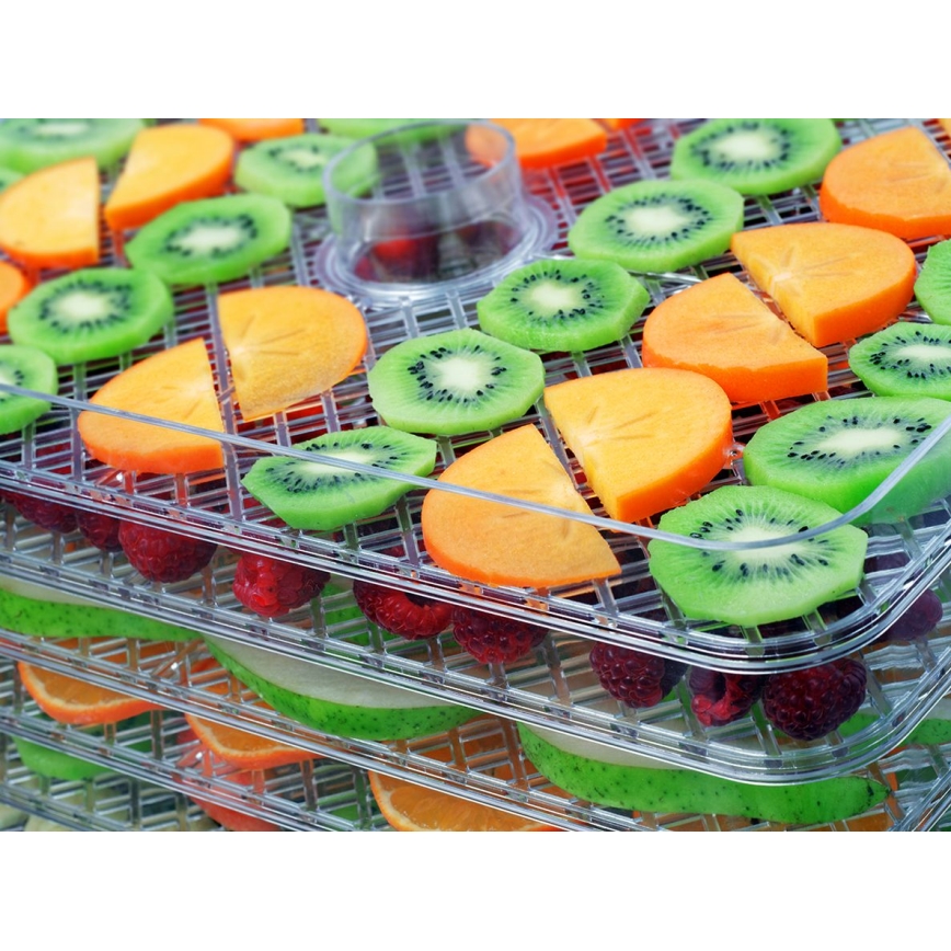 Concept SO2042 - Essiccatore per alimenti 500W/230V nero + stampo in silicone