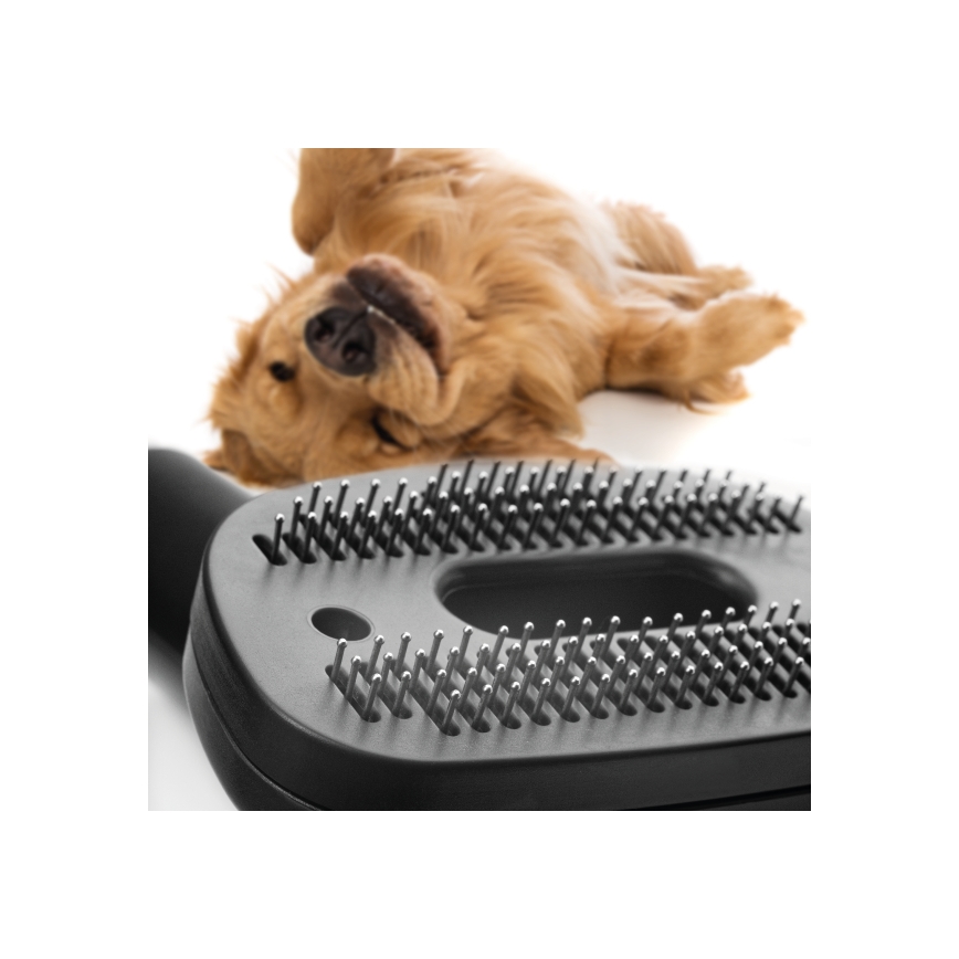 Concept VP5240N - Aspirateur sans sac 4A RADICAL PET EXPERT 2,5 l 800W/230V bronze