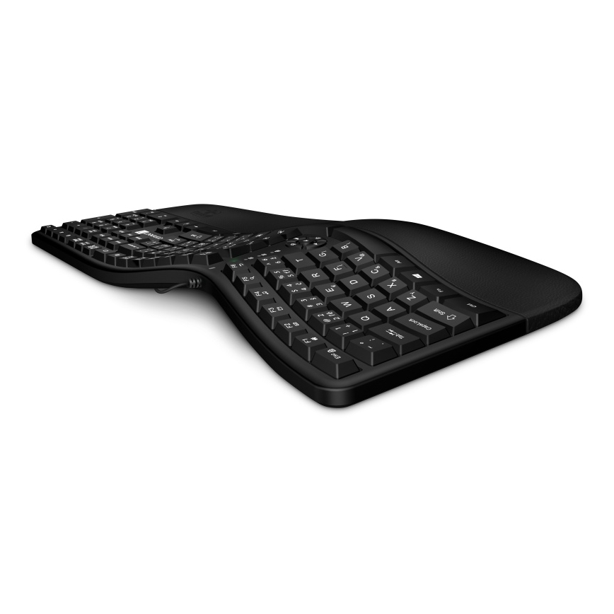 CONNECT IT CKB-2800-CS - Clavier sans fil ergonomique avec localisation CZ/SK noir