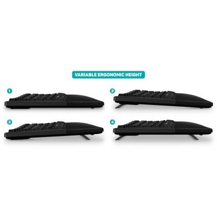 CONNECT IT CKB-2800-CS - Tastiera wireless ergonomica con CZ/SK localization nero
