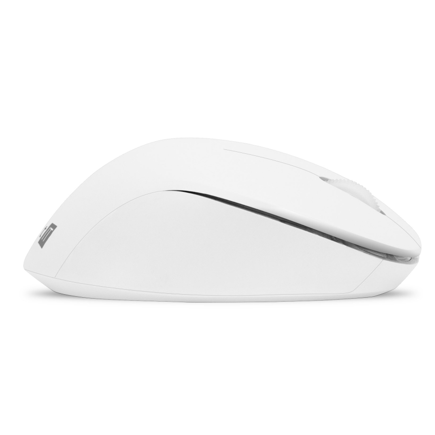 CONNECT IT CKM-7804-CS - Tastiera e mouse wireless 1200 DPI con CZ/SK localization 1xAAA + 1xAA bianco