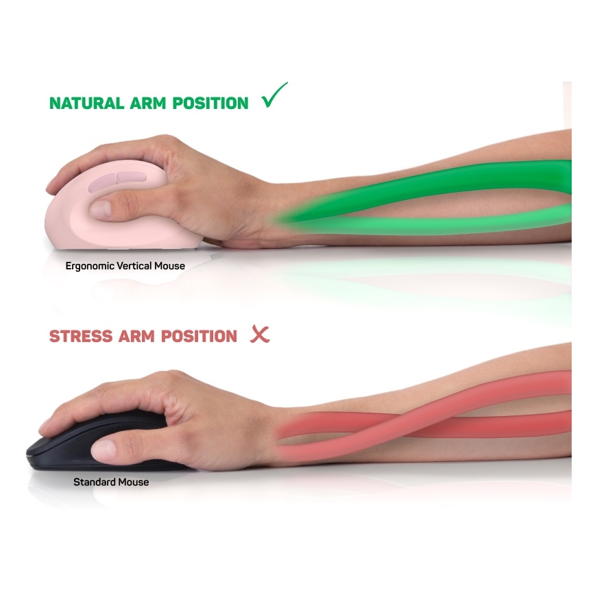 CONNECT IT CMO-2600-PK - Ergonomische kabellose Maus 800/1200/1600 DPI 1xAA rosa