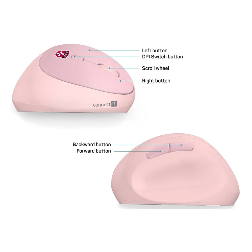 CONNECT IT CMO-2600-PK - Souris sans fil ergonomique 800/1200/1600 DPI, 1 pile AA, rose