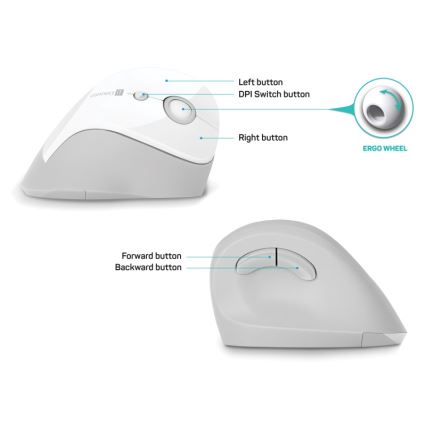 CONNECT IT CMO-2700-WH - Mouse wireless ergonomico 800/1200/1600 DPI 1xAA bianco