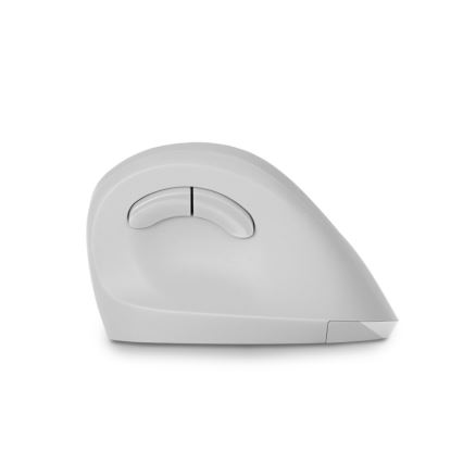 CONNECT IT CMO-2700-WH - Mouse wireless ergonomico 800/1200/1600 DPI 1xAA bianco