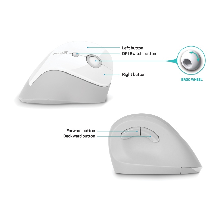 CONNECT IT CMO-2700-WH - Souris sans fil ergonomique 800/1200/1600 DPI 1xAA blanc