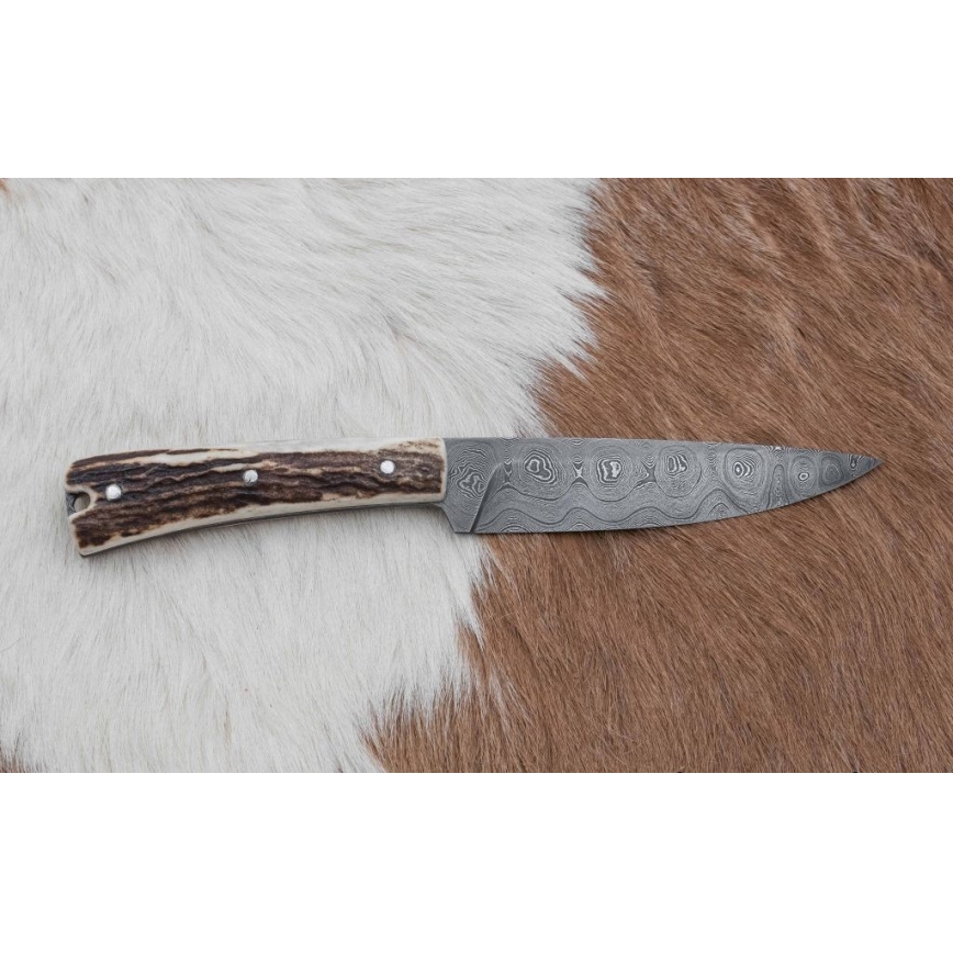 Couteau de chasse 12 cm bois de cerf