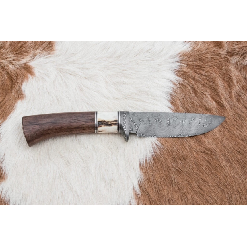 Couteau de chasse en acier de Damas 11,8 cm noyer/bois de cerf