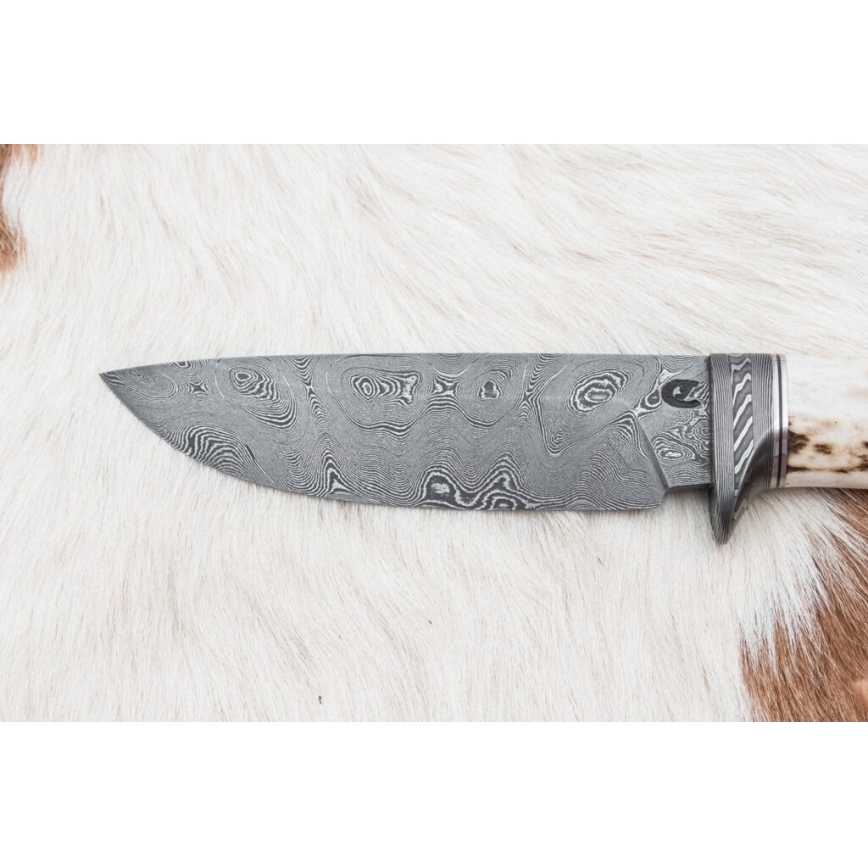 Couteau de chasse en acier de Damas 11,8 cm noyer/bois de cerf