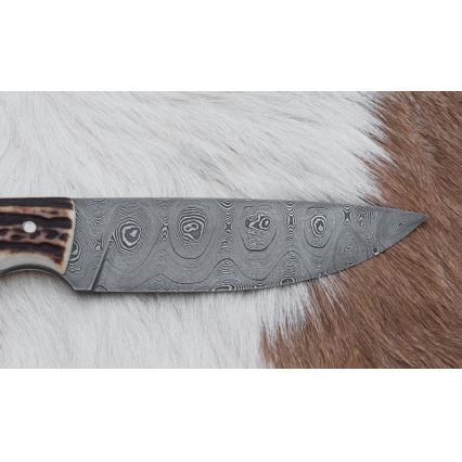 Couteau de chasse en acier de Damas 11 cm bois de cerf