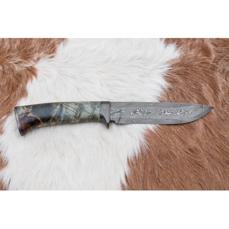 Couteau de chasse en acier de Damas 14 cm châtaignier