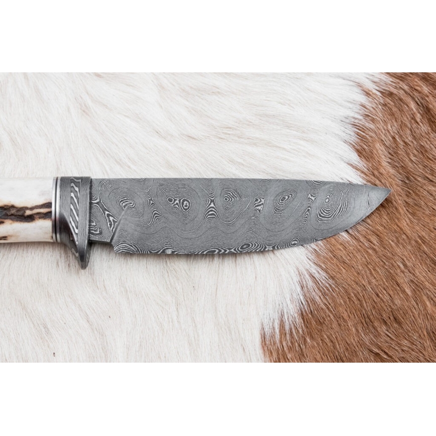 Damast-Jagdmesser 11,8 cm Walnuss/Hirschgeweih